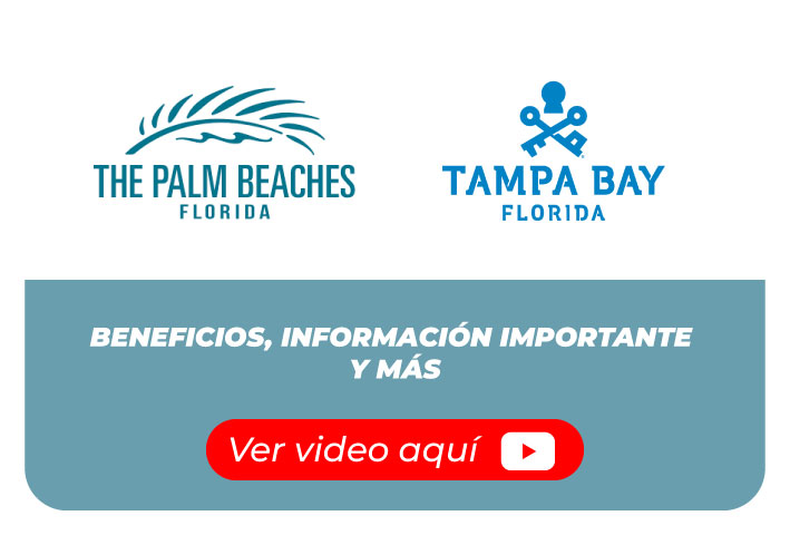 the palm beaches